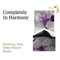 Nature's Magic - Spa Zen Melodies & Spa Music Relaxation