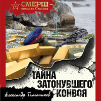 Александр Тамоников. «Тайна затонувшего конвоя». Часть 3 - Александр Мозгунов
