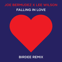 Falling In Love - Joe Bermudez & Lee Wilson & Birdee