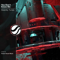 You Don't Know Me - Swanky Tunes