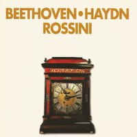 Symphony No. 49 in F Minor, Hob.I.49: II. Allegro di molto - Йозеф Гайдн & Orquesta Sinfónica Haydn di Bolzano e Trento