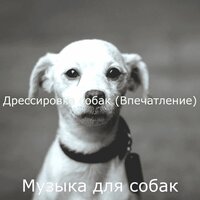 Созерцая (Спящие собаки) - Музыка для собак