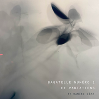Bagatelle Numéro 1 Variation 5 - Daniel Díaz