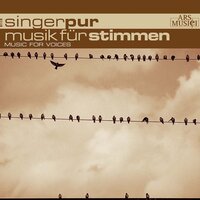 Mein Gmüth ist mir verwirret - Singer Pur