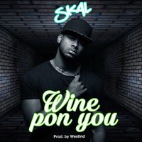 Wine Pon You - skal