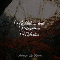Life Renew - Rain Sounds & Nature Sounds & The Rain Library & Kings of Nature