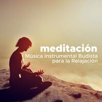 Naturaleza - Every Night Alder & Musica para Yoga Maestro & Every Night Alder & Musica para Yoga Maestro