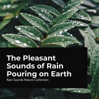 Placid Calm Riverbed - ASMR Rain Sounds & Rain Sounds Nature Collection & Sleepy Rain