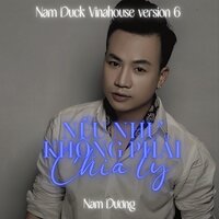 Nếu Như Không Phải Chia Ly - Nam Dương