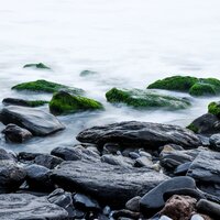 Staying Calm - Meditation Zen & Rain Recorders & Life Sounds Nature