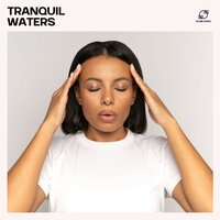 Stress Relief - No Stress Ensemble & Unlimited Stress Relief & Stress Reducing Music Zone & Anxiety and Stress Relief