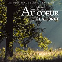 Automne: cerfs - Jean C. Roché