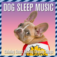 Sweet Sunshine - Dog Music Dreams & Dog Music Zone & Dog Music Therapy