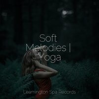 Dreamstate - Oceanic Yoga Pros & Restaurant Background Music & Nature & Sounds Backgrounds
