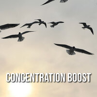 Focus Study Retention - Relaxing Spa Music