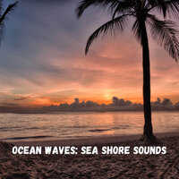 Slow Sea Waves - Nature Recordings & Ocean Sounds & Dog Spa Music Paradise