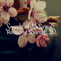Water Sounds - Sounds of Nature White Noise for Baby Sleep
