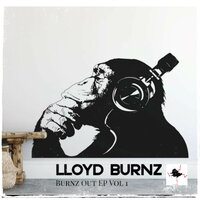 Fancy Funked - Lloyd Burnz