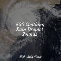Quiet Bird Song - Yoga Trainer & Sound Sleeping & Sonidos De La Naturaleza