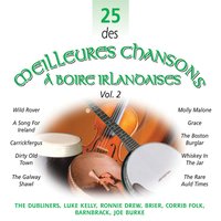 Boston Burglar / Moonshiner / Hills of Connemara - Barnbrack