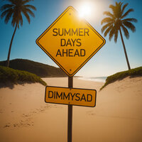 This Summer Party - DimmySad