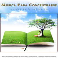 Música de trabajo y trabajo - Musica para Concentrarse & Fondo de la lectura & Música para Leer