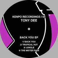 The Mister Rain - Tony Dee