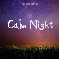 Music for Spa Dream - Karma Master