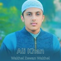 Wakhel Zewan Wakhel - Ali Khan