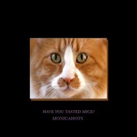 ON A DAY LIKE THIS - Monicahotts