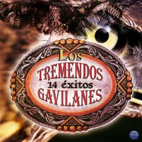 Quiero Que Sepas - Los Tremendos Gavilanes