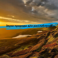 Звуки ночи: звуки природы - Nature Sounds & Meditation Music & Музыка воды & Музыка для сна