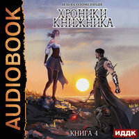 Соломенный Илья. «Хроники Книжника. Книга 4. Изгой». Часть 2 - Роман Попов