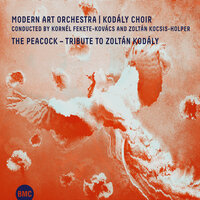 Dusk - Modern Art Orchestra & Kodaly Choir & Kornél Fekete-Kovács & Gábor Cseke