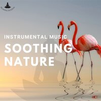 Instrumental Song, Flute - Relaxing Buddha