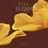 My everything - Punch