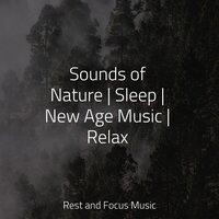 Sand Dune Whispers - Exam Study Classical Music & Sleep Sounds Of Nature & White Noise for Baby Sleep