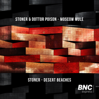Desert Beach - Stoner