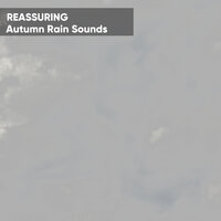 Brain Relaxation - Chuva Para Dormir & Chuva Para Dormir, ,