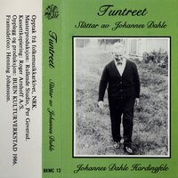 Rakstejenta; Springar - Johannes Dahle
