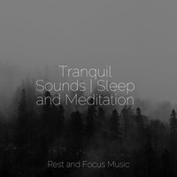 Drops of Divine - Chakra Meditation Universe & Sleep Music & Avslappning Sound