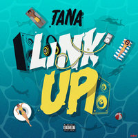 Link Up - tana