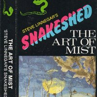 So Empty Here - Steve Linnegar's Snakeshed