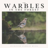 Eloquent Songbirds - Forest Sounds