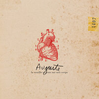 Coconut - AUGUSTE