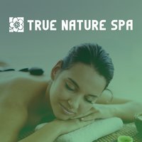 Ambient Rain Sounds - Green Nature Spa