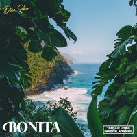 Bonita - Dice SoHo