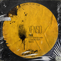 True - Xenso