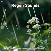 Regen Sounds, pt. 44 - Olaf Niggl