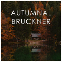 Bruckner: Mass No. 1 in D Minor, WAB 26 - Credo - Luba Orgonasova & Bernarda Fink & Christoph Pregardien & Eike Wilm Schulte & Monteverdi Choir & Wiener Philharmoniker & Антон Брукнер